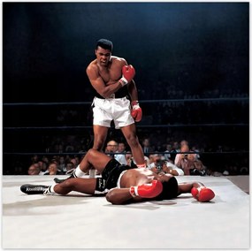 Poszterek 30x30 Muhhamad Ali Boxer Harc