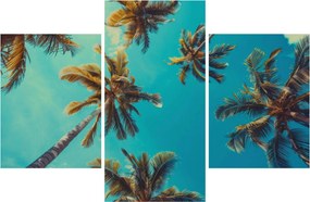 Kép - Magas pálmafák (90x60 cm)