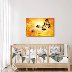 Kép - Sárga pillangó virággal (90x60 cm)
