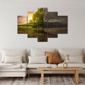 Kép - Életciklus (150x105 cm)