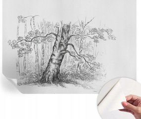 Öntapadós Dekoratív Fotótapéta Hálószobába Erdei fa 208x146 cm