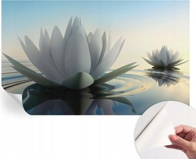 Öntapadós fotótapéta Nappaliba és Hálószobába Vízililiomok 416x254 cm