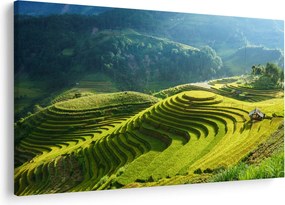 Kép - Rice Terraces koncert (90x60 cm)