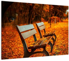 Padok ősszel képe (70x50 cm)