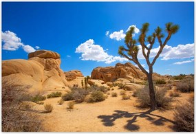 Poszterek 185x125 Sivatagi táj