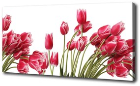 Vászonkép nyomtatás Piros tulipánok oc-109710799