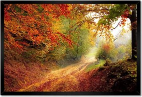 Poszterek keretben 60x40 Út az erdőben ősz