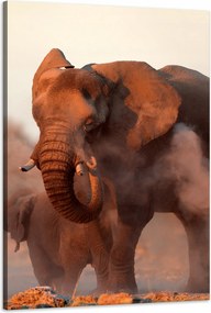 Vászonkép Elefántok Narancssárga Ég Füst Művészet 60x90 cm