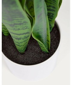 Műnövény (magasság 55 cm) Sansevieria – Kave Home