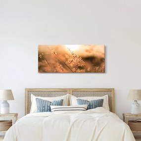 Kép - Fű a napon (120x50 cm)