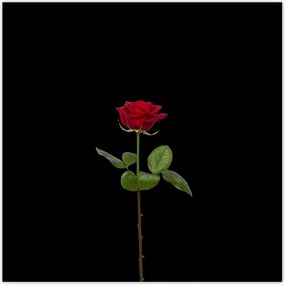 Poszterek 100x100 Nőnap Ajándék Love