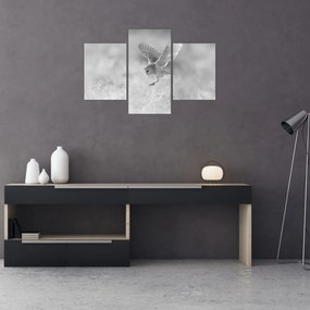 Kép - Bagoly a mezőn (90x60 cm)