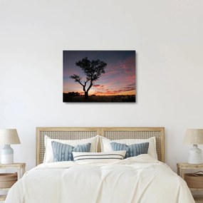 Üveg kép - Fa és vöröses árnyalatok (70x50 cm)
