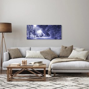 Kép - varázslatos téli éjszaka (120x50 cm)