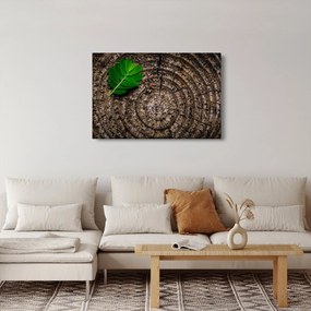 Kép egy levél a fatörzsön (90x60 cm)