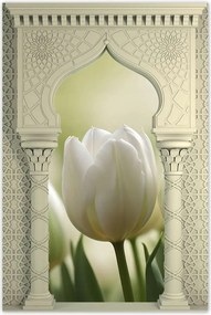 Poszterek 60x90 Fehér tulipánok