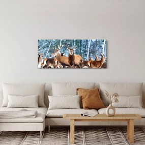 Kép - Szarvas csorda (120x50 cm)