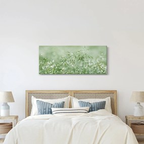 Kép - Reggeli harmat a fűszálakon (120x50 cm)