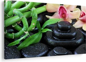 Kép - Kövek és orchideák (90x60 cm)