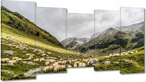 Vászonkép 150x80 Juh legeltetés Bárányok