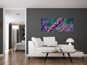 Levandula képe (120x50 cm)