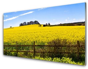 Akrilkép Plant Field Landscape 140x70 cm 2 fogas