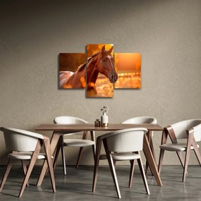 Kép - Ló a naplementében (90x60 cm)