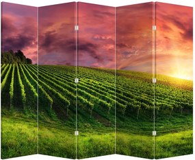 Paraván - Szőlőskert és a színes égbolt (210x170 cm)