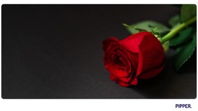 PIPPER. Öntapadós textiltapéta "Rózsa 2"