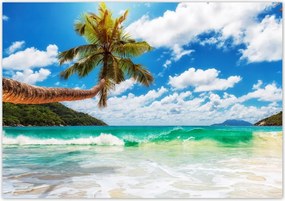 Fotótapéta flizelina 312x219 Paradicsom tengerpart pálmafákkal