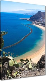 Vászonkép 80x120 Pillantás a kaktusz mögül