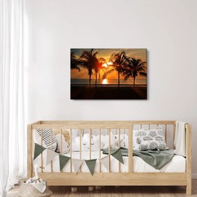 Pálmafa a naplementében képe (90x60 cm)