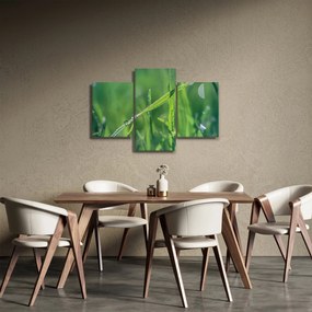Harmat cseppek képe (90x60 cm)