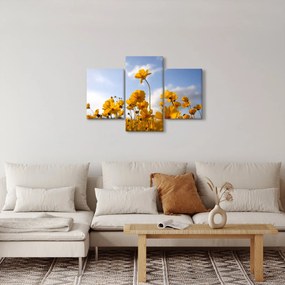 Fényes sárga virágokkal rendelkező mező képe (90x60 cm)