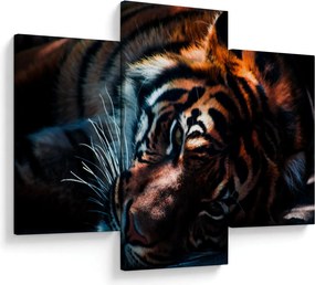 Egy fekvő tigris képe (90x60 cm)