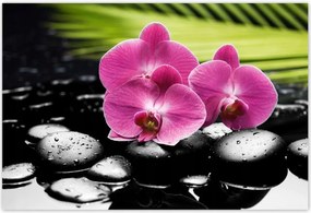 Poszterek 200x135 Spa Kövek és leanderek