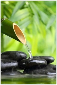 Poszterek 60x90 Sanus per aquam Forrás