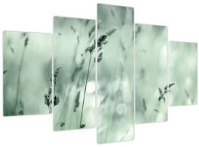 Kép - Zöld rét (150x105 cm)