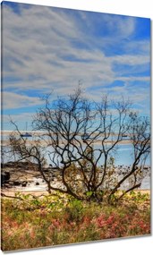 Vászonkép 70x100 Kilátás a tengerpartról