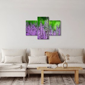 Lila mezei virágok képe (90x60 cm)