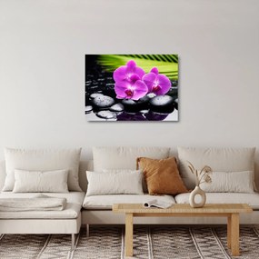 Üveg kép - Orchideák (70x50 cm)