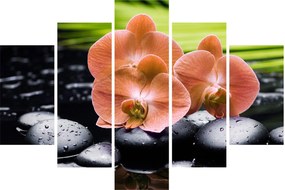 Kép - Narancssárga orchidea pálmalevelekkel (150x105 cm)