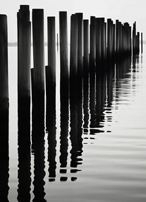 Poszter 40x55cm Víz és fa ritmusa