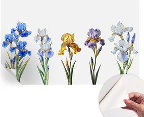 Fotótapéta Fali tapéta Hálószobába és Nappaliba Írisz virágok 416x254 cm