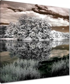 Vászonkép 80x80 Tájkép Infravörös Ir