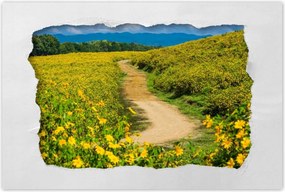 Poszterek 90x60 Falusi tejút