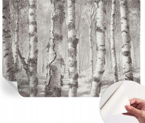 Fotótapéta Dekoratív Fali Tapéta Képekkel Nyírerdő 312x219