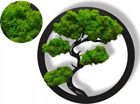 Kép Moha Bonsai Fa Ajándék Fal Neki Moha