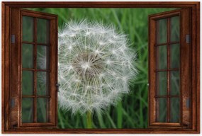 Poszterek 120x80 Pitypang Virág Virágok