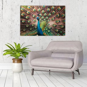 Kép - Páva (90x60 cm)